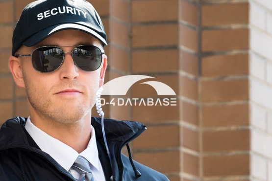 Développement Plateforme, Application Web